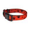 Stylish & Durable Paw Pet Collar – Comfort Meets Functionality