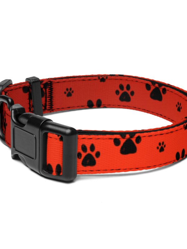 Stylish & Durable Paw Pet Collar – Comfort Meets Functionality