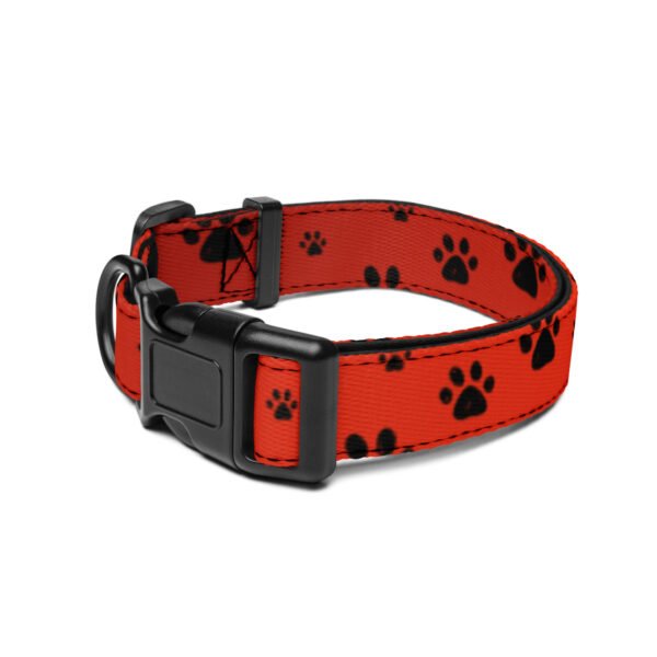 Stylish & Durable Paw Pet Collar – Comfort Meets Functionality