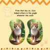 The Curious Cat & The Wise Lion Children's Story